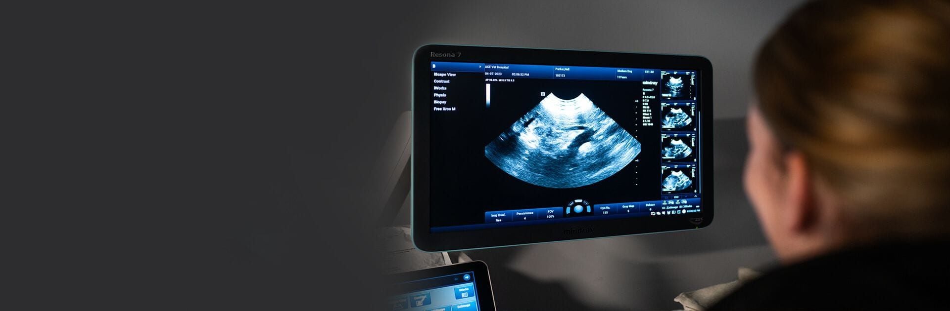 Ultrasound: A Window into Your Pet's Health Ultrasound: A Window into Your Pet's Health